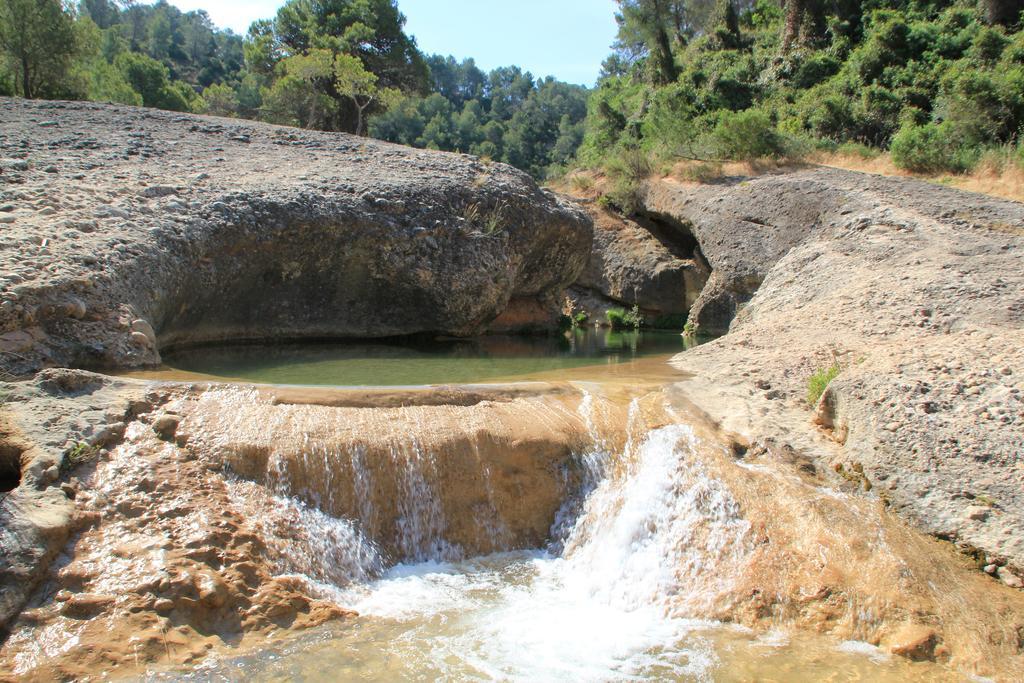 Ca La Leonor, Ecoturisme Terra Alta Villa Bot Phòng bức ảnh